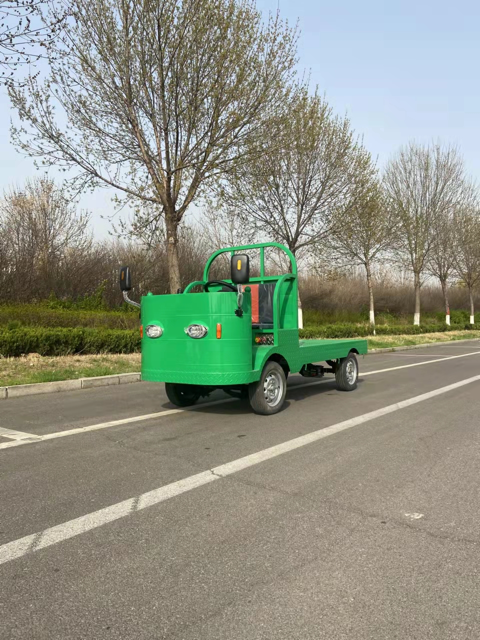 2ton Electric Platform Truck